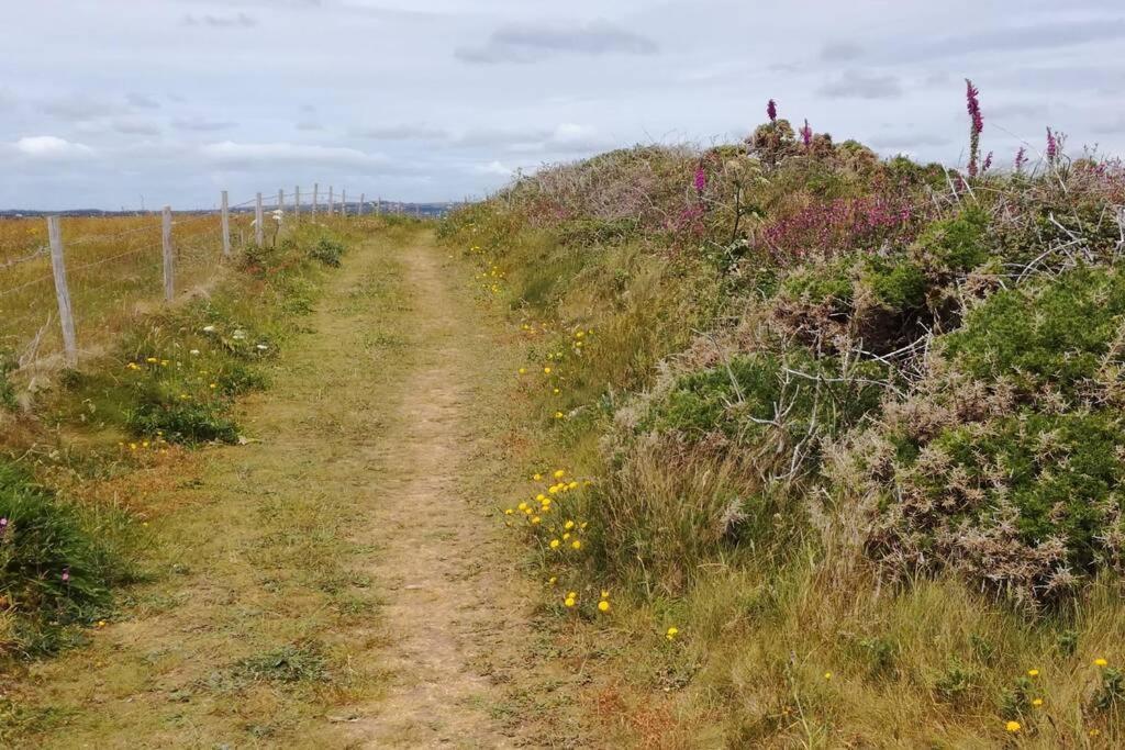 Farm Accommodation - The Lizard Peninsula, Cornwall Helston Dış mekan fotoğraf