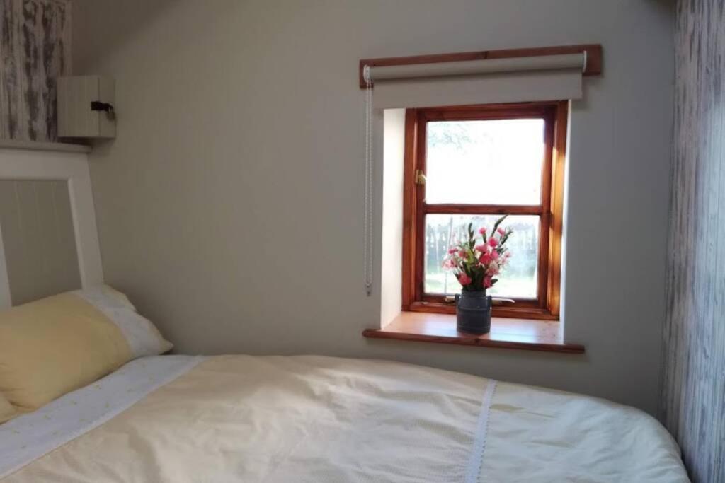 Farm Accommodation - The Lizard Peninsula, Cornwall Helston Dış mekan fotoğraf
