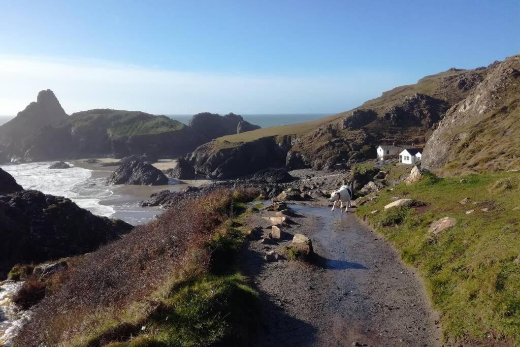 Farm Accommodation - The Lizard Peninsula, Cornwall Helston Dış mekan fotoğraf